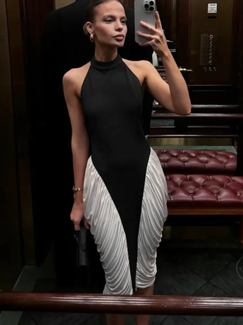 Patchwork Halter Backless  Midi Dress   Elegant Fashion Contrast Color Sleeveless Pleated Long Dress