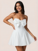 Bow Strapless Backless Mini Dress
